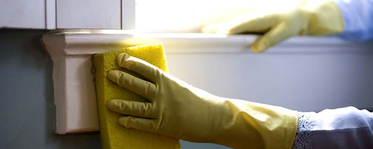 Handy Tips for a Weekly Desktop Cleanup
