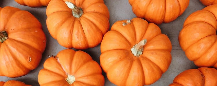 Festive Fall Party Ideas for the Workplace