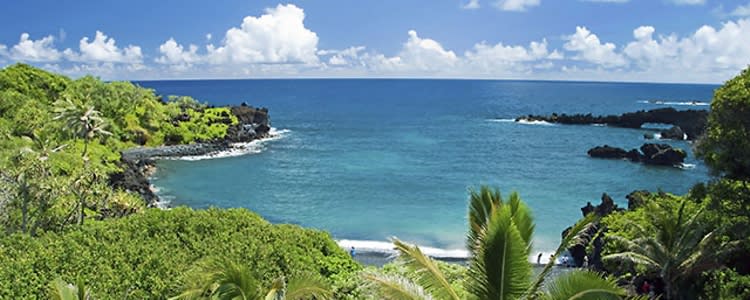 How to Manage Your Office Email Before and After Your Vacation