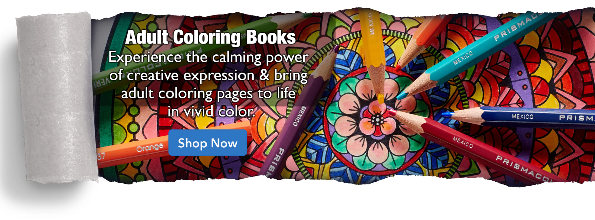 Shop Adult Coloring Books