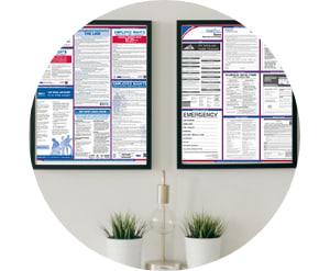 Labor Law & Workspace Posters