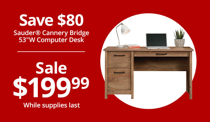 Sauder® Cannery Bridge 53"W Computer Desk