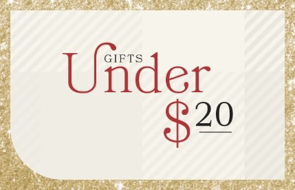 20 Fun and Useful Gifts Under $20 for Everyone On Your List