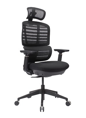 Ergonomic Office Chairs