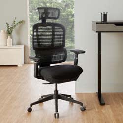 Ergonomic Office Chairs