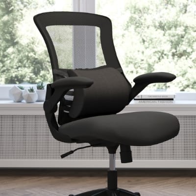 Lumbar Support Cushions
