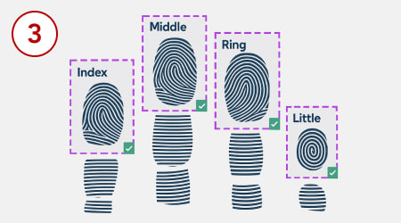 Fingerprints sent to agency