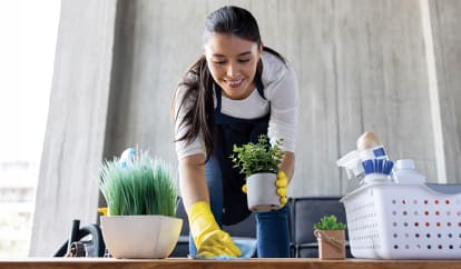 Woman Cleaning