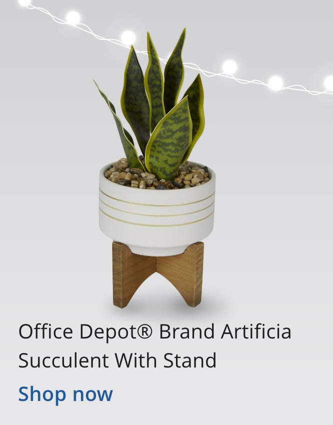 Office Depot® Brand Artificia Succulent With Stand