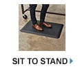 Sit to Stand