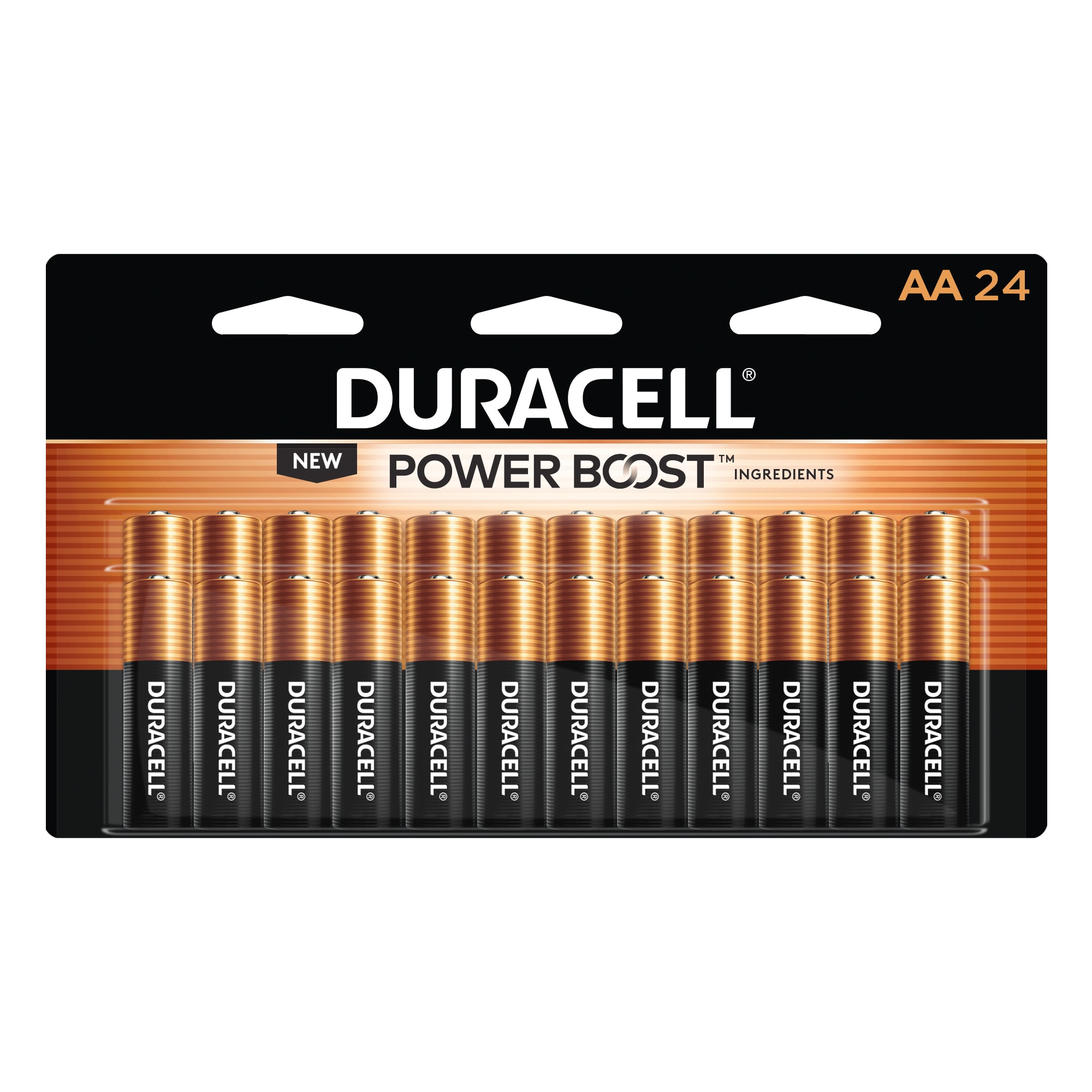 AA Alkaline Batteries