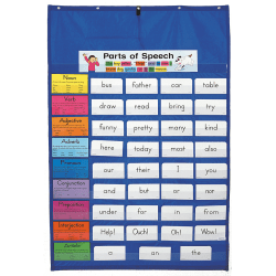 Daily Standards Pocket Chart by Carson Dellosa 
