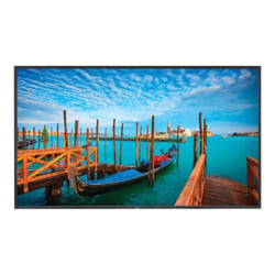 NEC MultiSync V552 AVT 55 Diagonal Class V Series LED TV digital