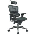 Raynor ergo elite online chair