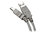 Professional Cable USB-06 - USB cable - USB Type B (M) to USB (M) - USB 2.0 - 6 ft - gray 1 thumbnail image