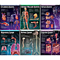 Creative Teaching Press® Human Body Charts, Grades 5-8, Pack Of 6 1 thumbnail image