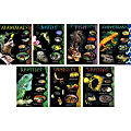 Creative Teaching Press® Animal Classifications Charts, Grade 1-3, Pack Of 7