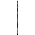 Brazos Walking Sticks™ Safari Leather Handle Exotic Wood Walking Stick, 58" 1 thumbnail image