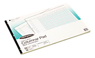 Wilson Jones® Columnar Pad, Side Bound With Shaded Columns, 11" x 16 3/8", 12 Columns, 25 Sheets