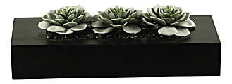 Realspace™ 8" Frosted Succulent Plant With Wooden Tray, Black/Green