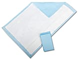 Protection Plus® Fluff-Filled Disposable Underpads, Economy, 23" x 36", 25 Underpads Per Bag, Case Of 6 Bags