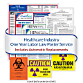 ComplyRight™ Healthcare Federal And State Labor Law 1-Year Poster Service, English, Texas 1 thumbnail image