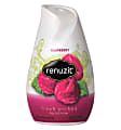 DIAL Renuzit Adjustables Air Fresheners, Raspberry, 7.5 Oz, Case Of 12 1 thumbnail image