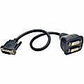 Tripp Lite DVI Dual-Link Splitter Cable, 1' 1 thumbnail image