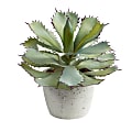 Nearly Natural Succulent 11”H Artificial Plant With Planter, 11”H x 10”W x 10”D, Green/White