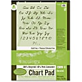 Ecology Chart Pad, 24" x 32", Unruled, Hole-Punched, Pad Of 70 Sheets