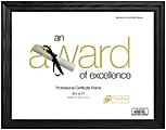 Timeless Frames® Rounded Ash Award Frame, 8 1/2" x 11", Black
