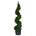 Nearly Natural Cypress Spiral Topiary Tree 3’H Artificial Plant With Planter, 36”H x 8”W x 8”D, Green/Black 1 thumbnail image