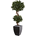 Nearly Natural 4-1/2'H Sweet Bay Artificial Double Topiary Tree With Planter, 54"H x 24"W x 24"D, Black/Green 1 thumbnail image