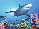Biggies Landscape/Seascape Mural, 48" x 36", Unframed, Shark Reef