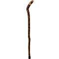 Brazos Walking Sticks™ Free Form Knob Root Walking Cane, 40"