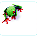 Allsop® Soft Cloth Mouse Pad, 9.75" x 10", Tree Frog