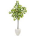 Nearly Natural Lemon 68”H Artificial Tree With Planter, 68”H x 27”W x 15”D, Green/White 1 thumbnail image