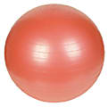 Sunny NO 055 Anti-Burst Gym Ball-55 1 thumbnail image