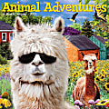 Willow Creek Press Animals Monthly Wall Calendar, 12" x 12", Animal Adventures, January to December 2022, 16633 1 thumbnail image