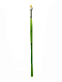 Liquitex Free-Style Detail Paint Brush, Synthetic, Size 4, Bright Bristle, Green 1 thumbnail image