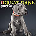 Willow Creek Press Animals Monthly Wall Calendar, 12" x 12", Just Great Dane Puppies, January to December 2022, 18170 1 thumbnail image