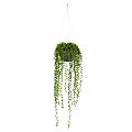 Nearly Natural String Of Pearl 21”H Artificial Plant With Hanging Basket, 21”H x 6”W x 6”D, Green