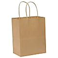 Duro Bag Novolex™ Paper Shopping Bags, 10 1/4"H x 8"W x 4 1/2"D, Kraft, Carton Of 250