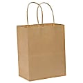 Duro Bag Novolex™ Paper Shopping Bags, 10 1/4"H x 8"W x 4 1/2"D, Kraft, Carton Of 250 1 thumbnail image