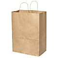 Duro Bag Novolex™ Paper Bistro Carry-Out Bags, 12"H x 10"W x 7"D, Kraft, Carton Of 250 1 thumbnail image