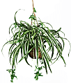 Nearly Natural 27" Silk Hanging Spider Plant With Basket