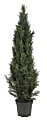 Nearly Natural 5' Silk Mini Cedar Pine Tree With Pot