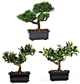 Nearly Natural 8 1/2" Silk Bonsai Plant With Pot, 8 1/2"H x 8 1/2"W x 5"D, Set of 3 1 thumbnail image