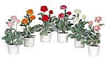 Nearly Natural 12" Ranunculus With Vase, Multicolor, Set Of 6