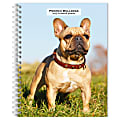 2025 BrownTrout French Bulldogs Weekly Spiral-Bound Wire-O Engagement Planner Calendar, 6" x 7 3/4" 1 thumbnail image